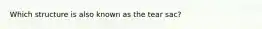 Which structure is also known as the tear sac?