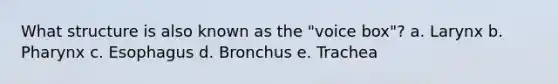 What structure is also known as the "voice box"? a. Larynx b. Pharynx c. Esophagus d. Bronchus e. Trachea