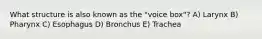 What structure is also known as the "voice box"? A) Larynx B) Pharynx C) Esophagus D) Bronchus E) Trachea