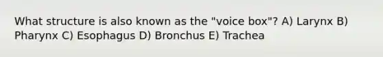 What structure is also known as the "voice box"? A) Larynx B) Pharynx C) Esophagus D) Bronchus E) Trachea