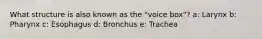 What structure is also known as the "voice box"? a: Larynx b: Pharynx c: Esophagus d: Bronchus e: Trachea