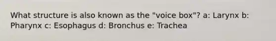 What structure is also known as the "voice box"? a: Larynx b: Pharynx c: Esophagus d: Bronchus e: Trachea