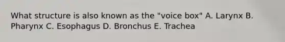 What structure is also known as the "voice box" A. Larynx B. Pharynx C. Esophagus D. Bronchus E. Trachea