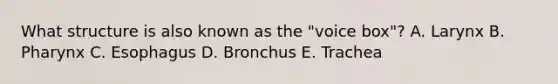 What structure is also known as the "voice box"? A. Larynx B. Pharynx C. Esophagus D. Bronchus E. Trachea