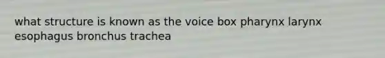 what structure is known as the voice box pharynx larynx esophagus bronchus trachea