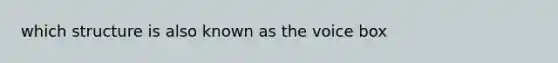 which structure is also known as the voice box