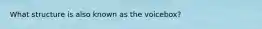 What structure is also known as the voicebox?