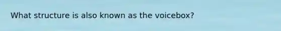 What structure is also known as the voicebox?