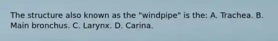 The structure also known as the "windpipe" is the: A. Trachea. B. Main bronchus. C. Larynx. D. Carina.