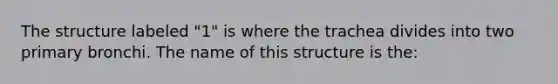 The structure labeled "1" is where the trachea divides into two primary bronchi. The name of this structure is the: