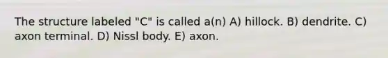 The structure labeled "C" is called a(n) A) hillock. B) dendrite. C) axon terminal. D) Nissl body. E) axon.