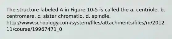 The structure labeled A in Figure 10-5 is called the a. centriole. b. centromere. c. sister chromatid. d. spindle. http://www.schoology.com/system/files/attachments/files/m/201211/course/19967471_0