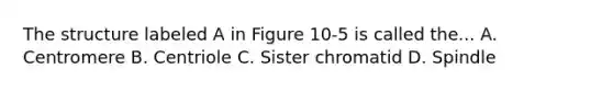 The structure labeled A in Figure 10-5 is called the... A. Centromere B. Centriole C. Sister chromatid D. Spindle