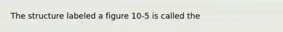 The structure labeled a figure 10-5 is called the