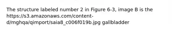 The structure labeled number 2 in Figure 6-3, image B is the https://s3.amazonaws.com/content-d/mghqa/qimport/saia8_c006f019b.jpg gallbladder