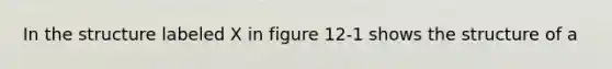 In the structure labeled X in figure 12-1 shows the structure of a