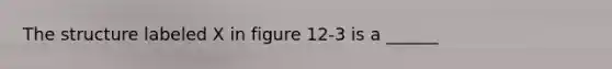 The structure labeled X in figure 12-3 is a ______