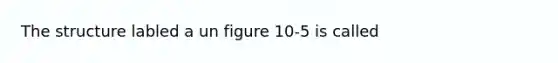 The structure labled a un figure 10-5 is called