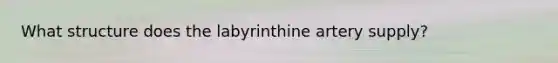 What structure does the labyrinthine artery supply?