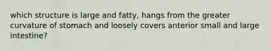 which structure is large and fatty, hangs from the greater curvature of stomach and loosely covers anterior small and large intestine?