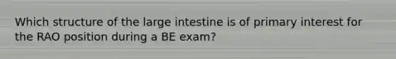 Which structure of the large intestine is of primary interest for the RAO position during a BE exam?