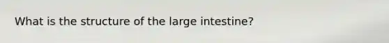 What is the structure of the large intestine?