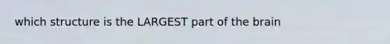 which structure is the LARGEST part of the brain