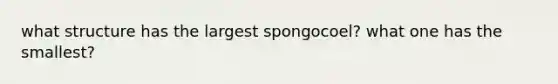 what structure has the largest spongocoel? what one has the smallest?