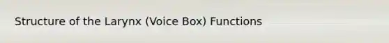 Structure of the Larynx (Voice Box) Functions