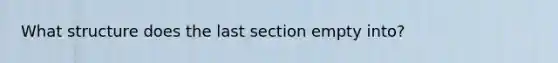 What structure does the last section empty into?