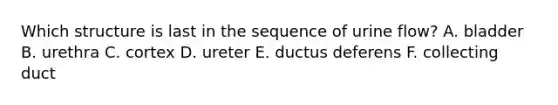 Which structure is last in the sequence of urine flow? A. bladder B. urethra C. cortex D. ureter E. ductus deferens F. collecting duct