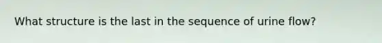 What structure is the last in the sequence of urine flow?