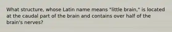 What structure, whose Latin name means "little brain," is located at the caudal part of the brain and contains over half of the brain's nerves?