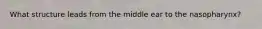 What structure leads from the middle ear to the nasopharynx?