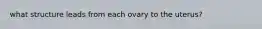 what structure leads from each ovary to the uterus?