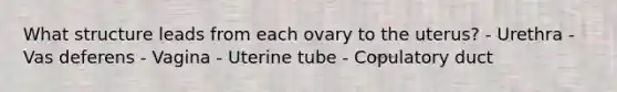 What structure leads from each ovary to the uterus? - Urethra - Vas deferens - Vagina - Uterine tube - Copulatory duct