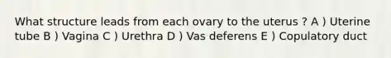 What structure leads from each ovary to the uterus ? A ) Uterine tube B ) Vagina C ) Urethra D ) Vas deferens E ) Copulatory duct