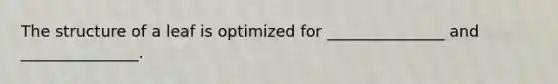The structure of a leaf is optimized for _______________ and _______________.