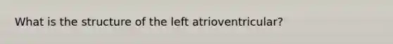 What is the structure of the left atrioventricular?