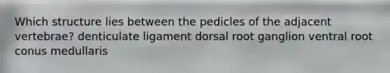 Which structure lies between the pedicles of the adjacent vertebrae? denticulate ligament dorsal root ganglion ventral root conus medullaris