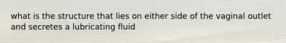 what is the structure that lies on either side of the vaginal outlet and secretes a lubricating fluid