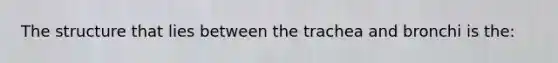 The structure that lies between the trachea and bronchi is​ the: