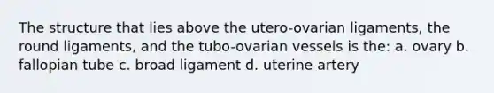 The structure that lies above the utero-ovarian ligaments, the round ligaments, and the tubo-ovarian vessels is the: a. ovary b. fallopian tube c. broad ligament d. uterine artery