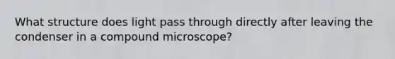 What structure does light pass through directly after leaving the condenser in a compound microscope?