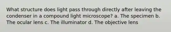 What structure does light pass through directly after leaving the condenser in a compound light microscope? a. The specimen b. The ocular lens c. The illuminator d. The objective lens