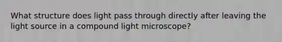 What structure does light pass through directly after leaving the light source in a compound light microscope?