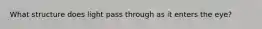 What structure does light pass through as it enters the eye?