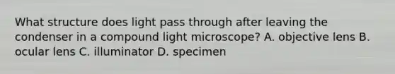 What structure does light pass through after leaving the condenser in a compound light microscope? A. objective lens B. ocular lens C. illuminator D. specimen