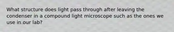 What structure does light pass through after leaving the condenser in a compound light microscope such as the ones we use in our lab?