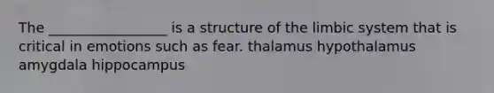 The _________________ is a structure of the limbic system that is critical in emotions such as fear. thalamus hypothalamus amygdala hippocampus